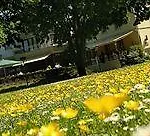 Nells Park Trier