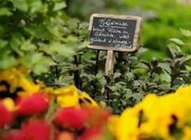 ホテル Nells Park トリーア