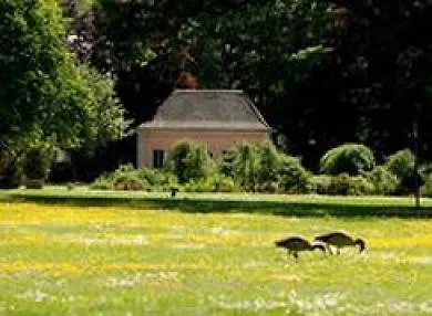 Ξενοδοχείο Nells Park
