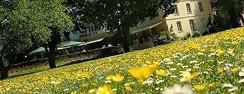 Nells Park Trevír